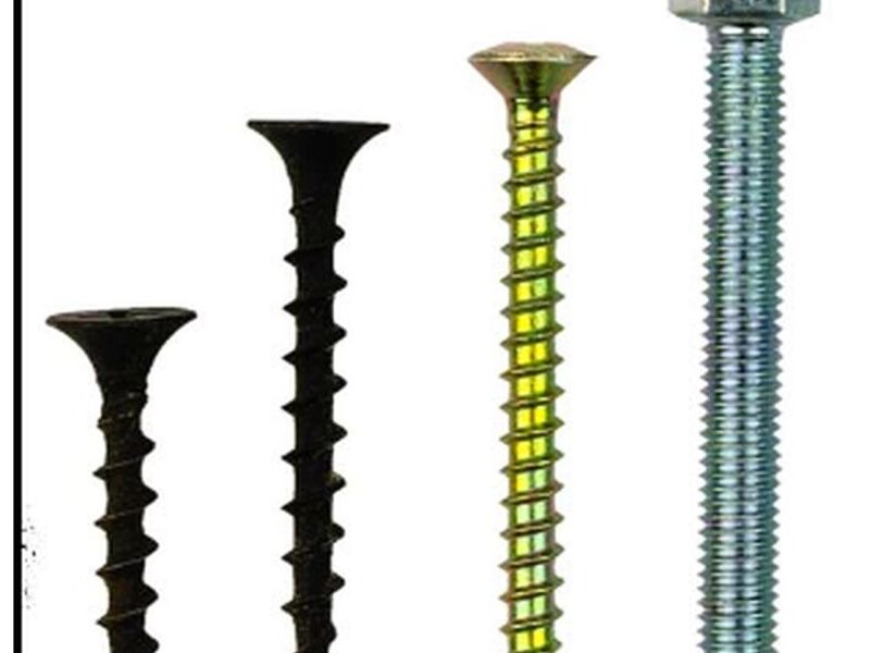 Diversidad Tornillos Guanajuato 