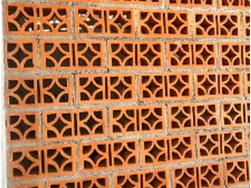 CELOSIAS BARRO MÉXICO