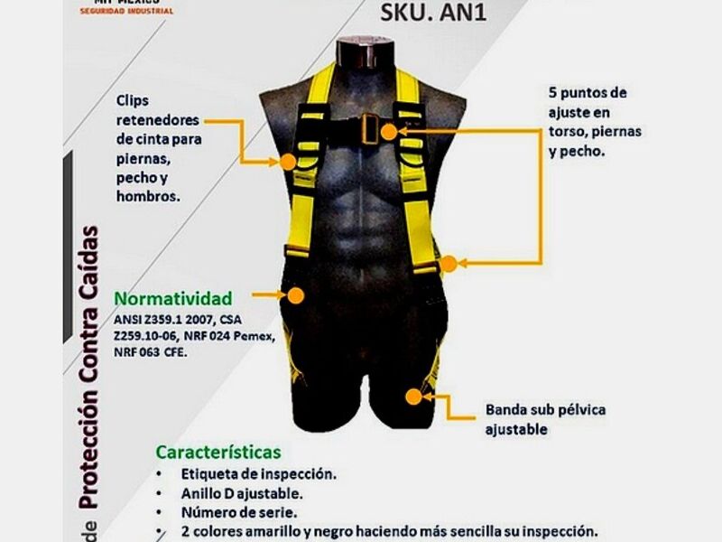 Arnés SKOLD CDMX