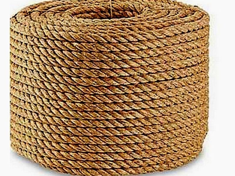 Henequén TABASCO