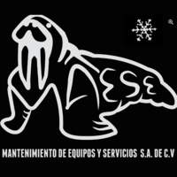 MAESE