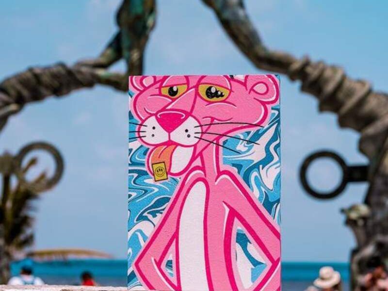 Cuadro Decorativo Pantera Rosa Veracruz 