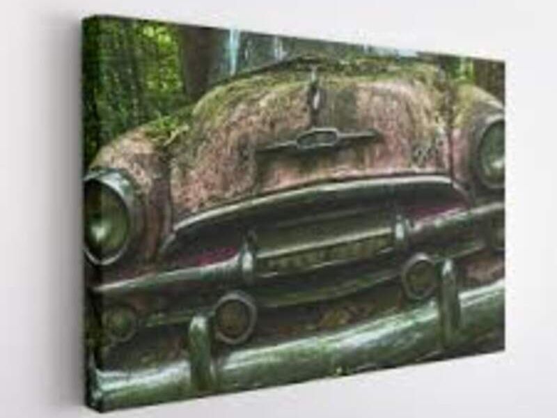 Cuadro Decorativo Auto Bosque Veracruz