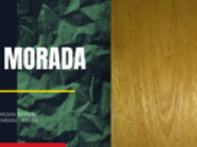 Madera 10 Jesús María