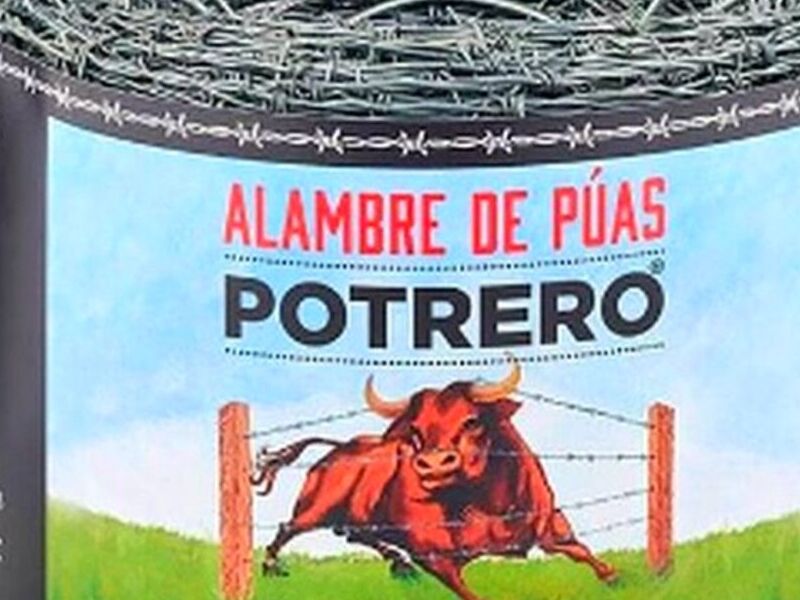 ALAMBRE PUAS CD MEXICO