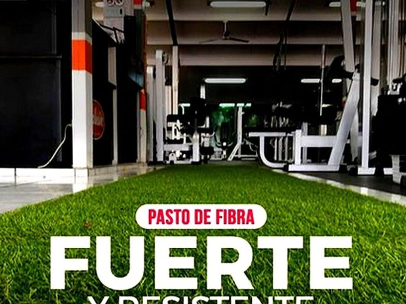Pasto Fibra CHIHUAHUA
