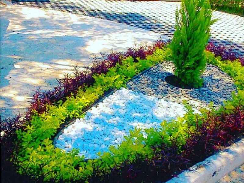 Diseño de Jardines Mexico