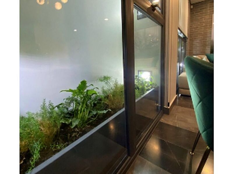 Diseño Jardín interior Mexico