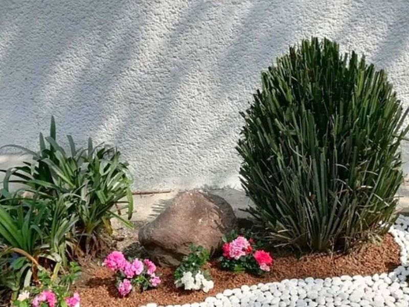 Jardinería piedras río México