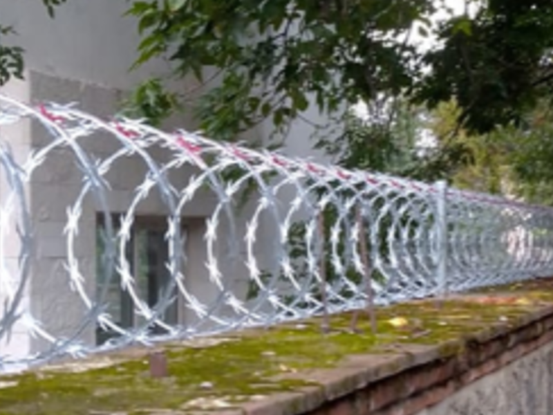 Serpentina Seguridad México