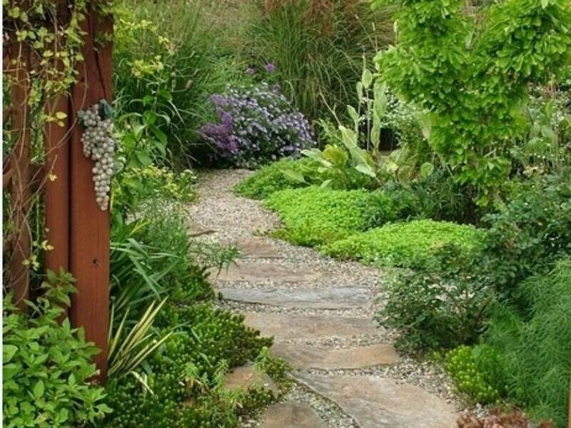 Jardín Caminos Senderos México 