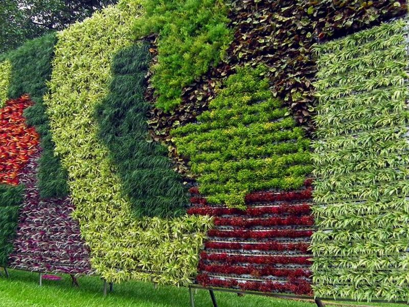 Jardines Verticales Personalizados México