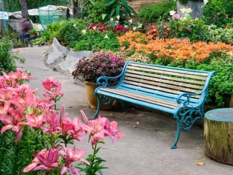Diseño Jardín Terapia Natural México