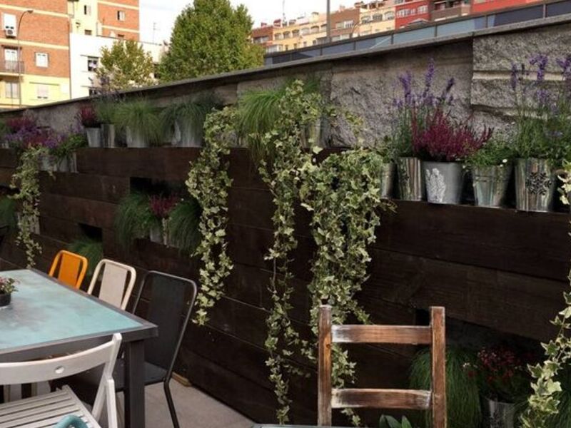  Diseño Jardín Exterior Comercial México