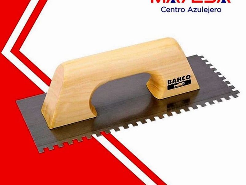 Llana Dentada OMETEPEC