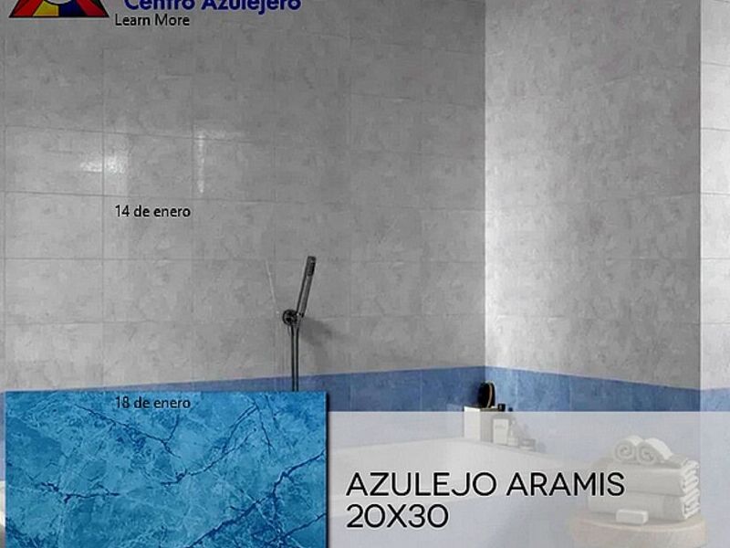 Azulejo Aramis OMETEPEC