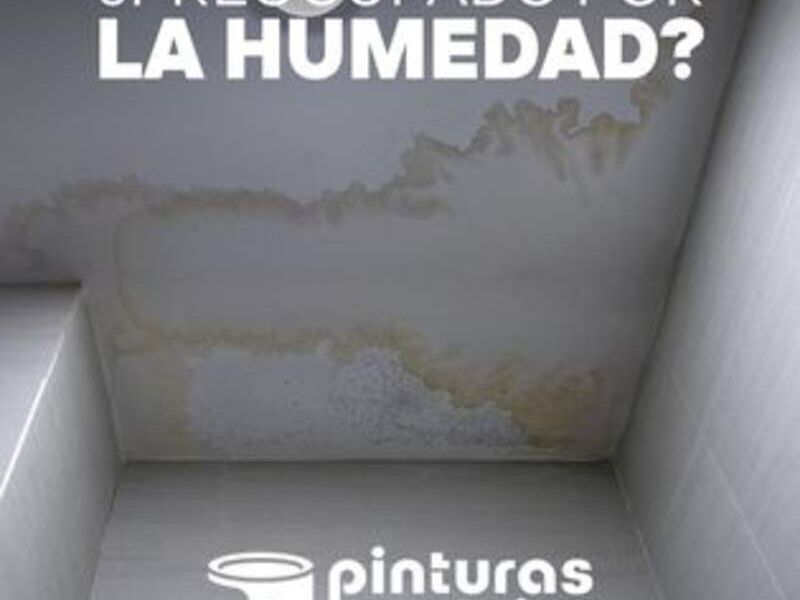 Impermeabilizantes SLP