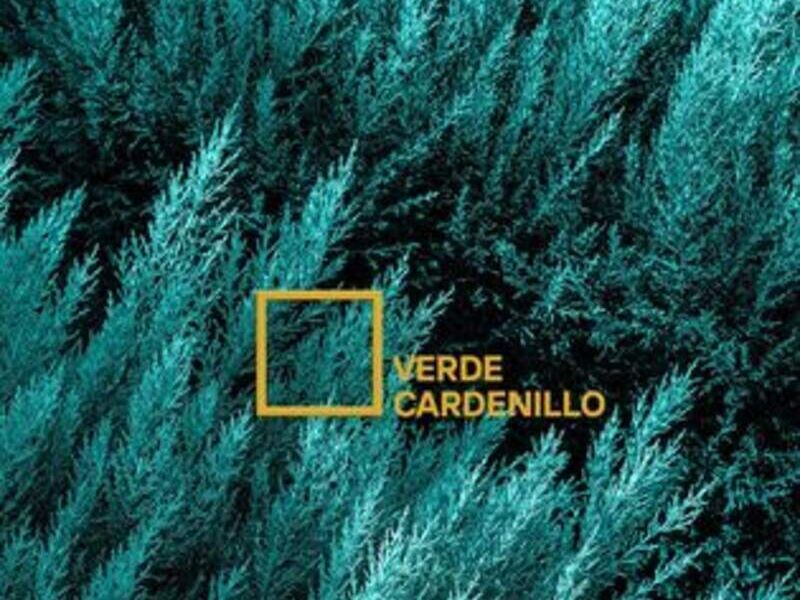 VEDER CARDENILLO SLP
