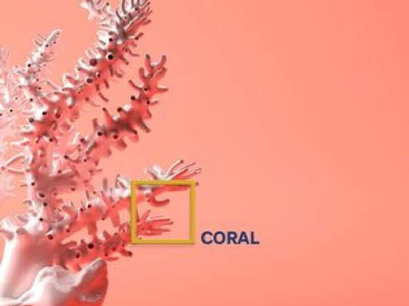 CORAL SLP