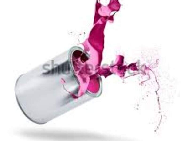 LATA PINTURA PURPURA SLP