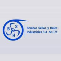 Bombas Sellos y Hules Industriales SA de CV