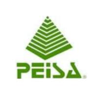 Peisa