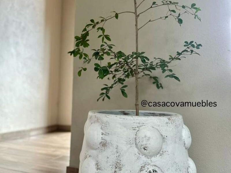 Macetero Artesanal Culiacán