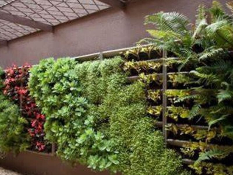Diseño Jardín Vertical México