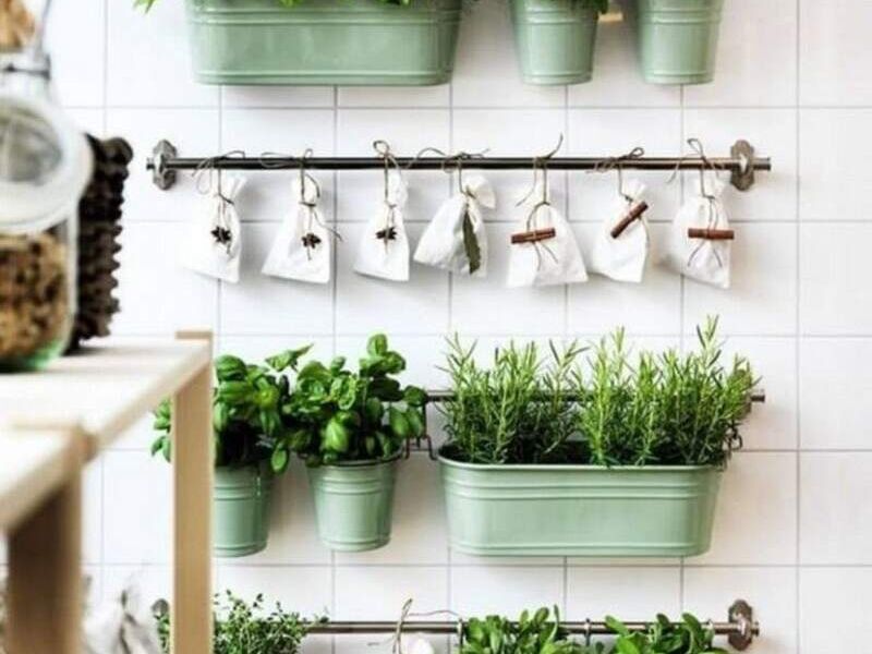  Diseño Jardín Aromaterapia Interior México