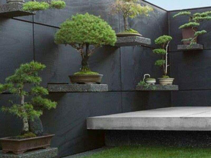 Diseño de Jardín de Bonsáis Interior México