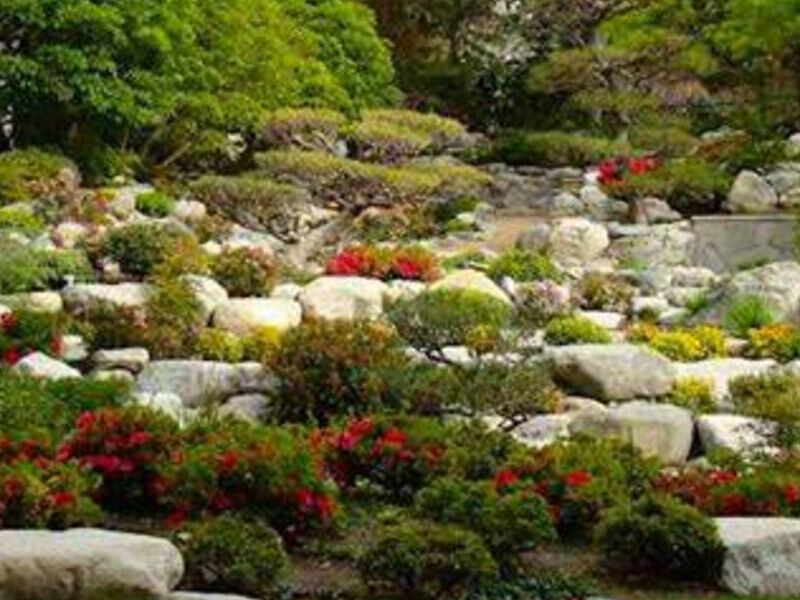 Diseño Jardín Rocalla Interior México