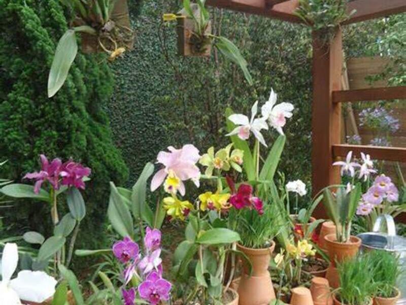  Diseño Jardín Orquídeas Interior México