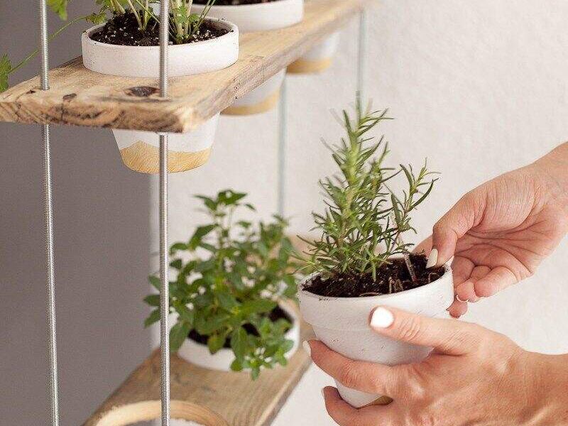 Diseño Jardín Hierbas Colgantes Int México