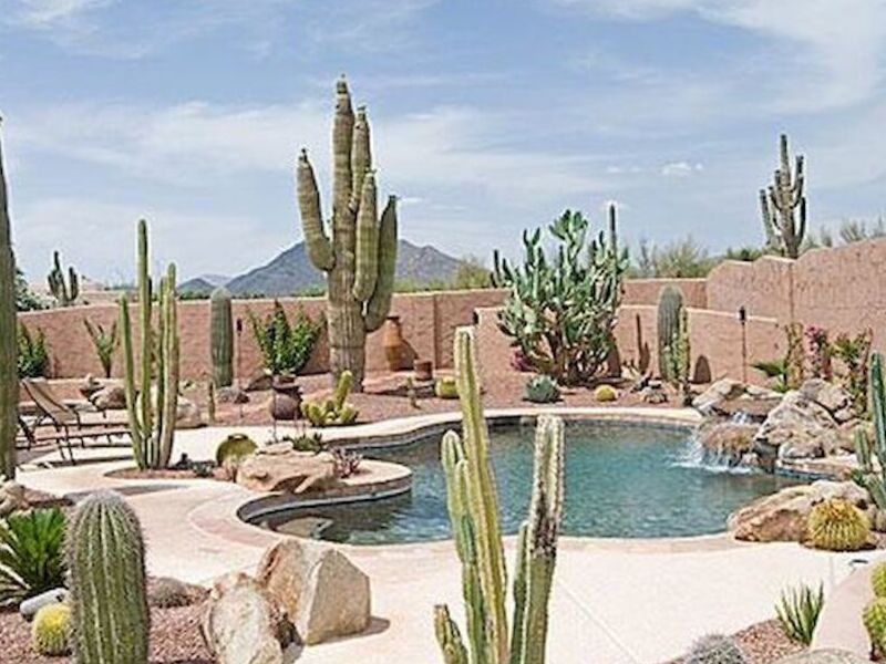 Diseñ Jardín Seco Desert Oasis México