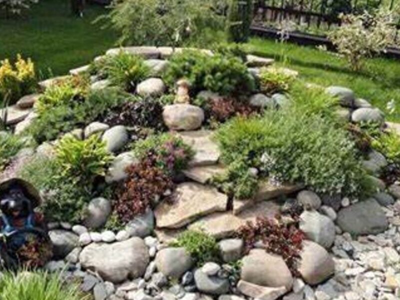 Diseño Jardín Rocalla Rústico Natural México