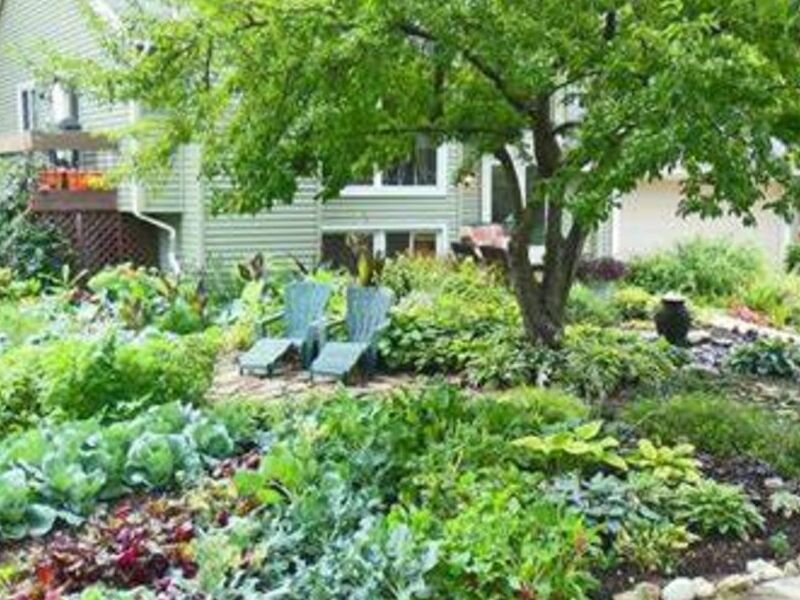 Diseño Jardín Sostenible Ecológico México