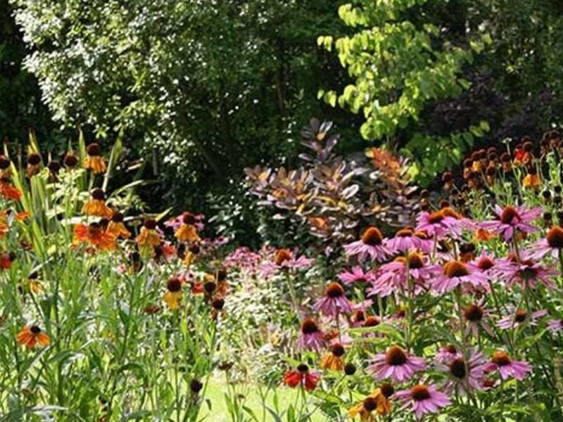 Diseño Jardín de Mariposas México