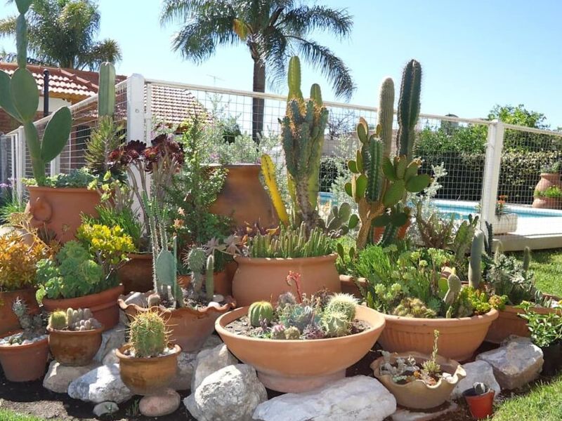 Diseño Jardín Ecléctico México