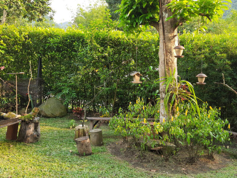 Diseño Jardín Aves México