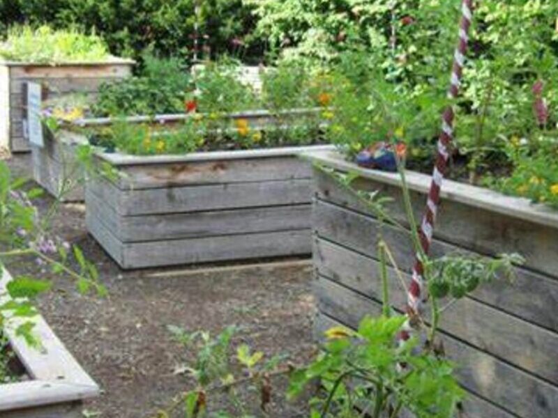 Diseño Jardín Terapia Hortícola México