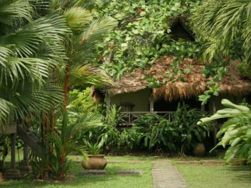 Diseño Jardín Selva Tropical México