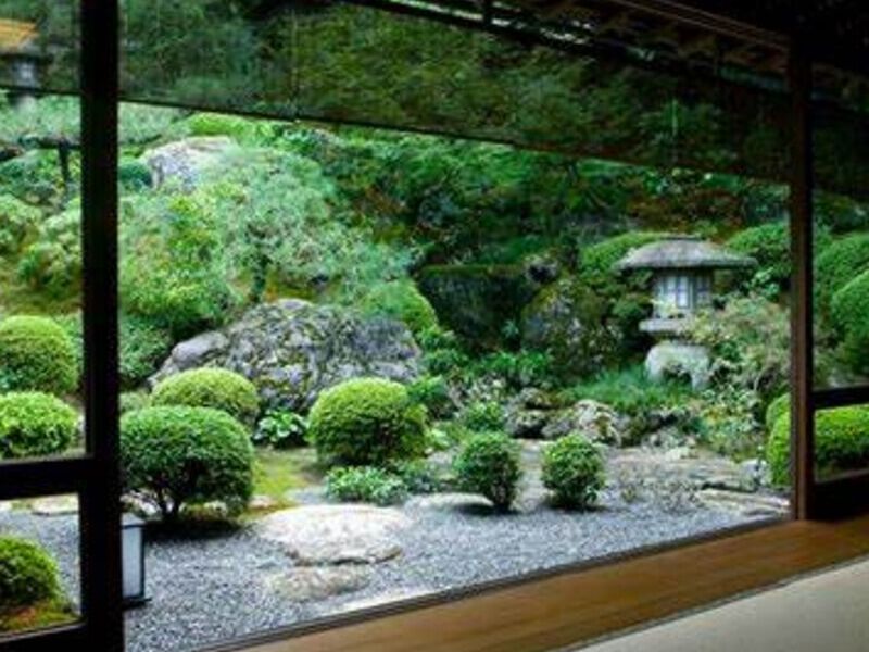 Diseño Jardín Zen Contemporáneo México