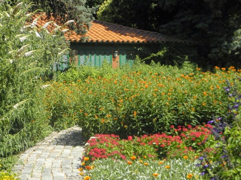 Diseño Jardín Mariposa México
