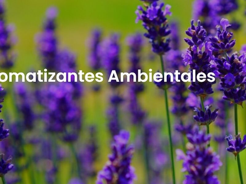 Aromatizante ambiental México