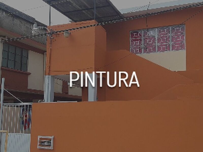 Pintura Integral Tampico 