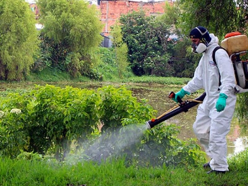 Fumigación jardines México