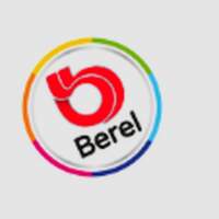 Berel Pintura