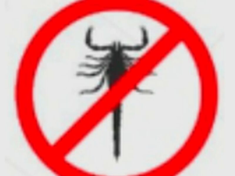 Fumigación Alacranes México