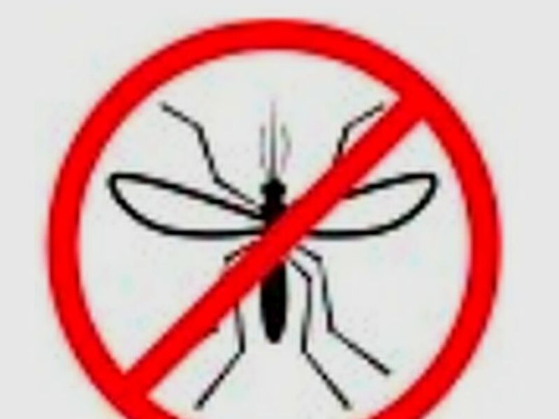 Fumigación Mosquito México