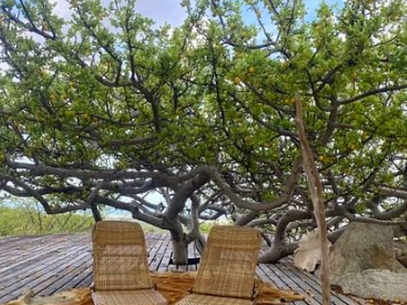 Silla Patio Mexico
